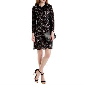 Ted Baker Black Lace "Ameera" Dress